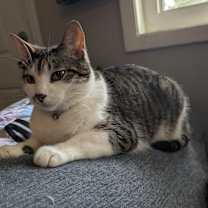 Thumbnail photo of Spyro #4