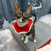 Thumbnail photo of Ralph #1