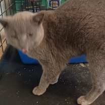 Thumbnail photo of Natasha #2