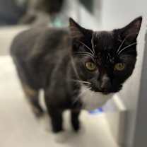 Thumbnail photo of Bruno #3