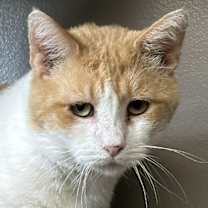 Thumbnail photo of McDreamy #1