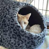 Thumbnail photo of McDreamy #3