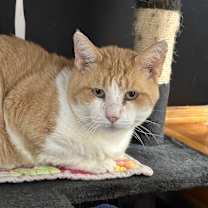 Thumbnail photo of McDreamy #4