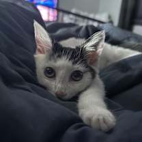 Thumbnail photo of Glacier #1