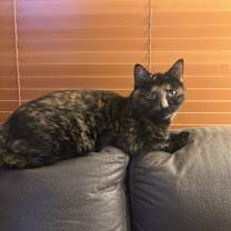 Thumbnail photo of Sister #1