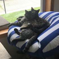 Thumbnail photo of Sister #3