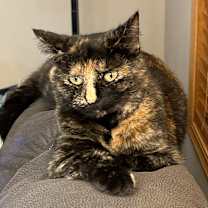 Thumbnail photo of Sister #4