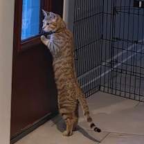 Thumbnail photo of Betty #1