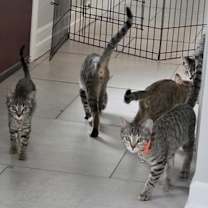 Thumbnail photo of Betty #2