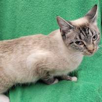 Thumbnail photo of Noel #3