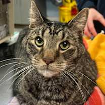 Thumbnail photo of Pepper #1