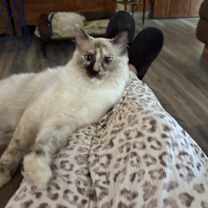 Thumbnail photo of Gabby #1