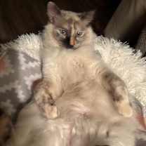 Thumbnail photo of Gabby #2