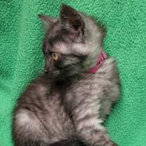 Thumbnail photo of Treasure #3