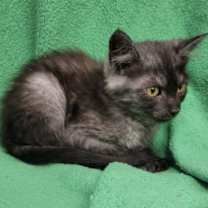 Thumbnail photo of Treasure #4