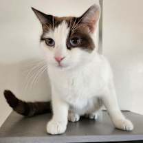 Thumbnail photo of Elena #4