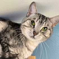 Thumbnail photo of Alley #3