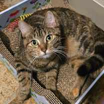 Thumbnail photo of Brooklynn #1