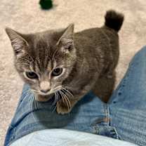 Thumbnail photo of Bobbie #1