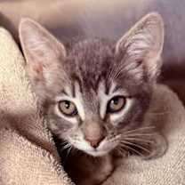 Thumbnail photo of Creek #2