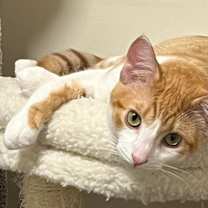 Thumbnail photo of Cutie #1