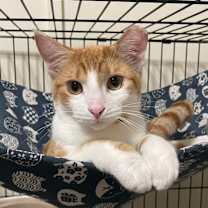 Thumbnail photo of Cutie #2