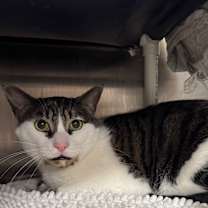 Thumbnail photo of Mio #3