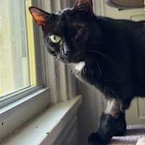 Thumbnail photo of Jolyne #2