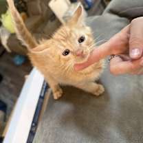 Thumbnail photo of Crush #2