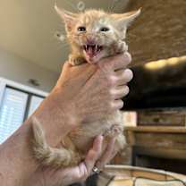 Thumbnail photo of Crush #3