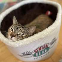 Thumbnail photo of Wallers #1