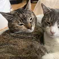 Thumbnail photo of Wallers #3