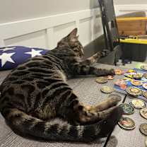 Thumbnail photo of Scar #3