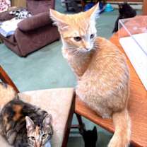 Thumbnail photo of Keith #1