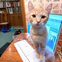 Thumbnail photo of Keith #2