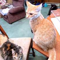 Thumbnail photo of Keith #4