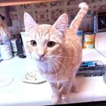 Thumbnail photo of Keith #1