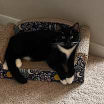 Thumbnail photo of Sampson #4