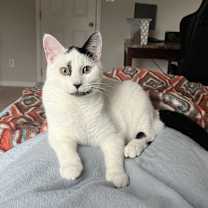 Thumbnail photo of Otis #1