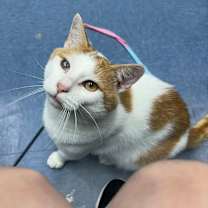 Thumbnail photo of Mitch  #2