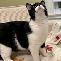 Thumbnail photo of Pistachio #4