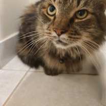 Thumbnail photo of MC #2