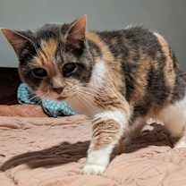 Thumbnail photo of Darlene #1