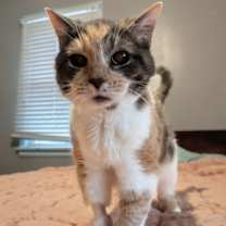 Thumbnail photo of Darlene #2