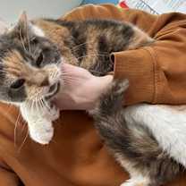 Thumbnail photo of Darlene #3