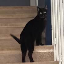 Thumbnail photo of TJ #2