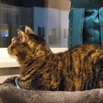 Thumbnail photo of Gertrude #4