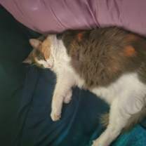 Thumbnail photo of Nadja #2