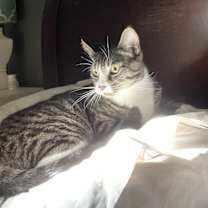 Thumbnail photo of Q #4