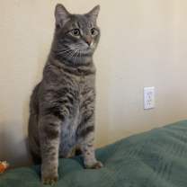 Thumbnail photo of Jack #1